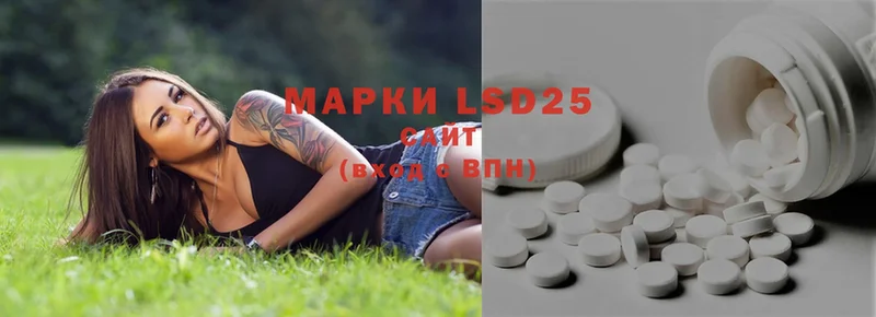 ОМГ ОМГ зеркало  Гусев  LSD-25 экстази ecstasy  где купить наркотик 